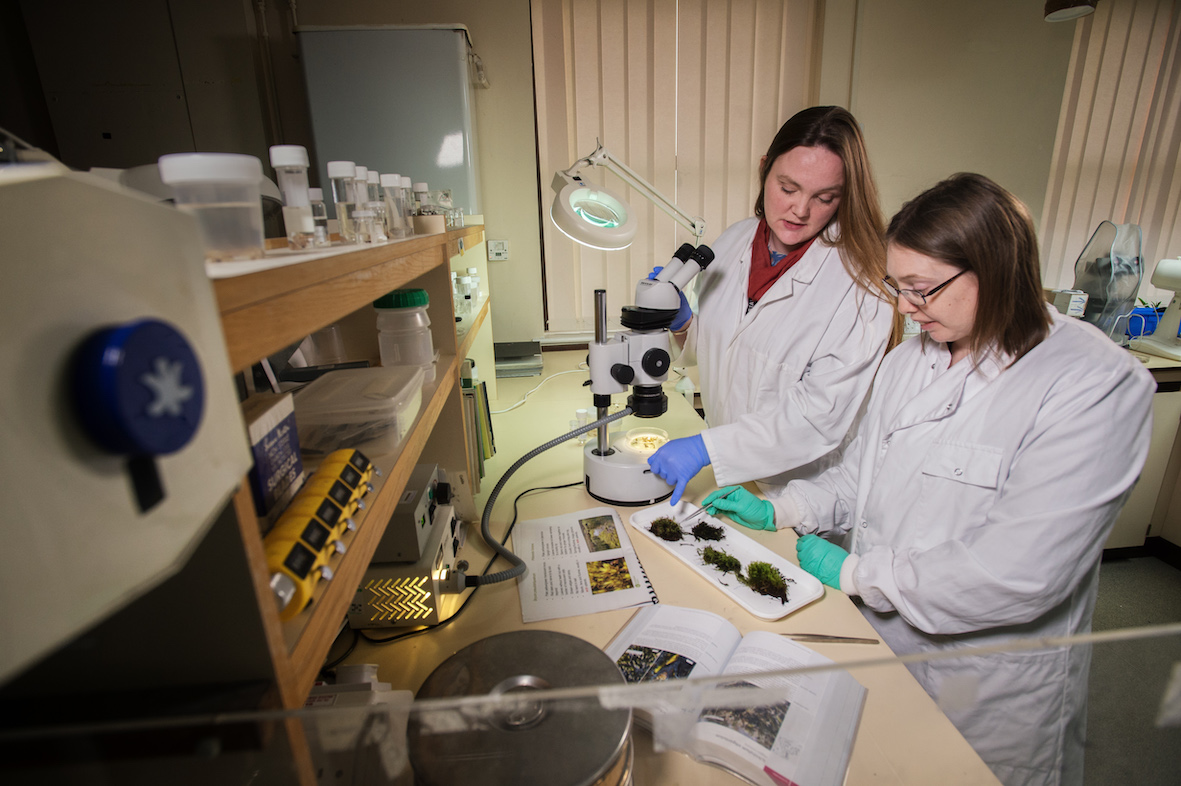 Two women working in lab investigating samples.